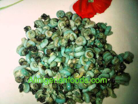 Periwinkles | All Nigerian Foods